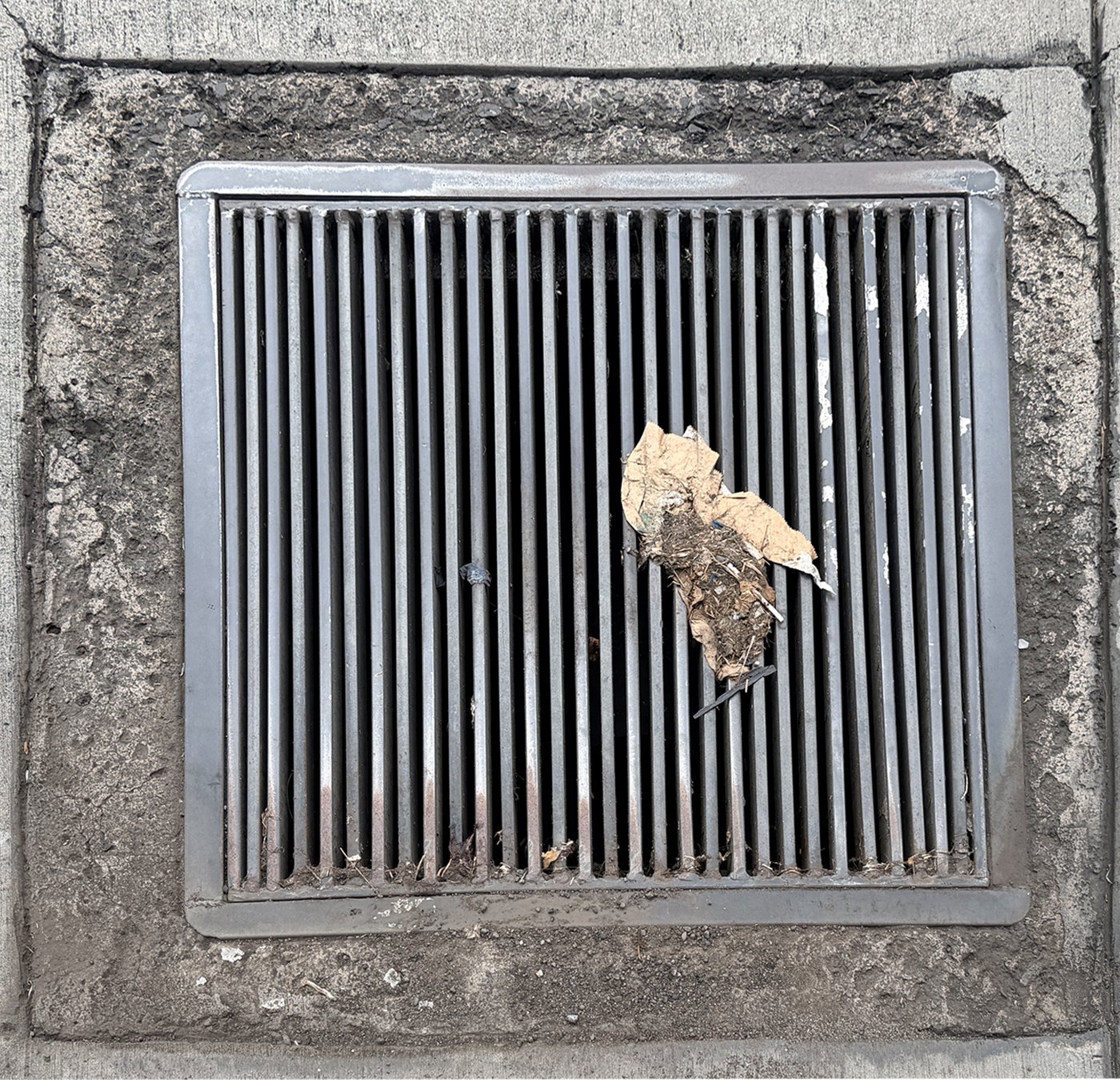 The drain in November 2025